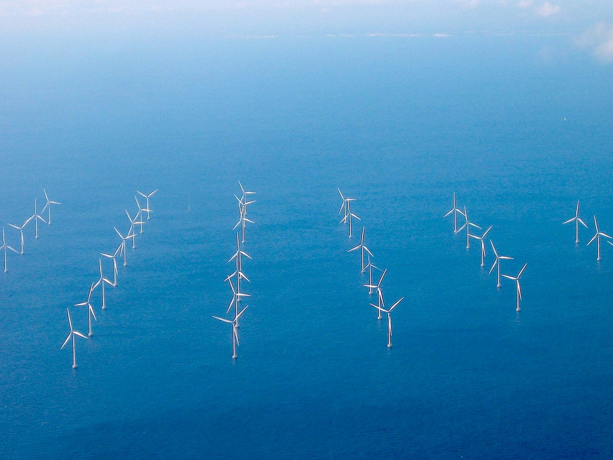 New EIEL webinar with Alessandro Monti to discuss renewable energy, climate change and trade&nbsp;law